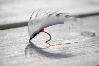 A zonker fry A zonker fry