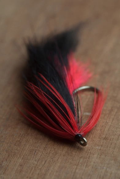 The Bloody Zonker The Bloody Zonker