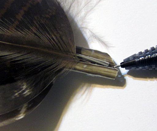 streamers_wing_8