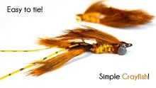 Video thumb for Simple Crayfish