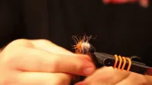 Video thumb for Autumn fish