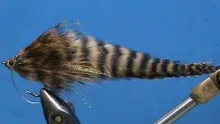 Video thumb for Bass Pike Streamer