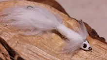Video thumb for Snowflake Sculpin