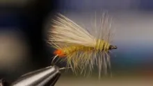 Video thumb for Yellow Sally Stimulator