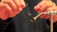 Video thumb for Bastard Crab