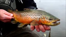 Video thumb for Cool Water