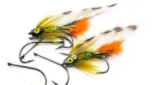 Video thumb for Iceland Stickleback