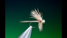 Video thumb for Hair Wing Adams