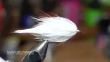 Video thumb for Rabbit Leech