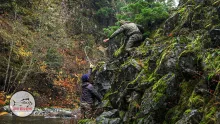 Video thumb for Fall Run
