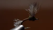 Video thumb for BWO Improved Sparkle Dun