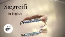 Video thumb for Sægreifinn