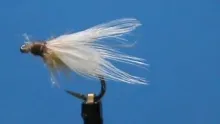 Video thumb for Spent Caddis