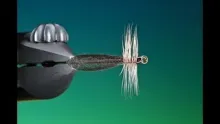 Video thumb for Slim Jim Stone