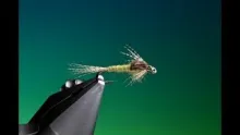 Video thumb for BWO