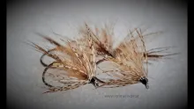 Video thumb for March Brown spider