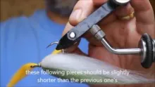 Video thumb for Perch Fly