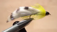 Video thumb for Icelandic Black Ghost