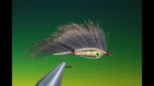 Video thumb for UV Zonker