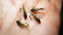 Video thumb for Gold Ribbed Olive Hare's Ear Nymph
