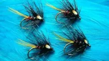 Video thumb for Watson's Bumble (variant)