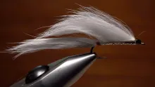 Video thumb for Jeff Blood's White Death