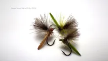 Video thumb for Parachute Palomino Midge