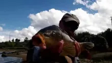 Video thumb for Carp Stickers