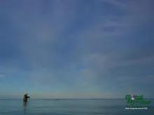 Computer screen wallpaper: Casting under a high, blue sky.