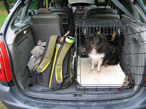 Plenty space - All the gear, the rigged rod and even the dog must fit inside. And preferably a couple of fishing buddies too.